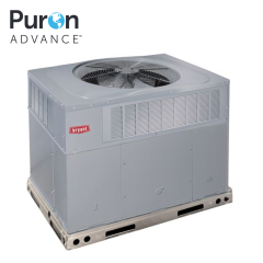 Payne 13.4 SEER2, R454B, Package Rooftop Heat Pump, 208/1